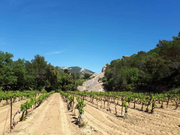 Rocalinaud Beaumes de Venise spring hike © Jessica Voeux