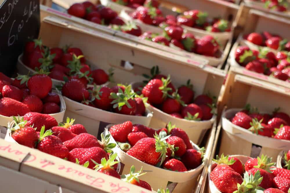 Reprise marche producteurs carpentras fraises 05.04.22 C.LEROI 25