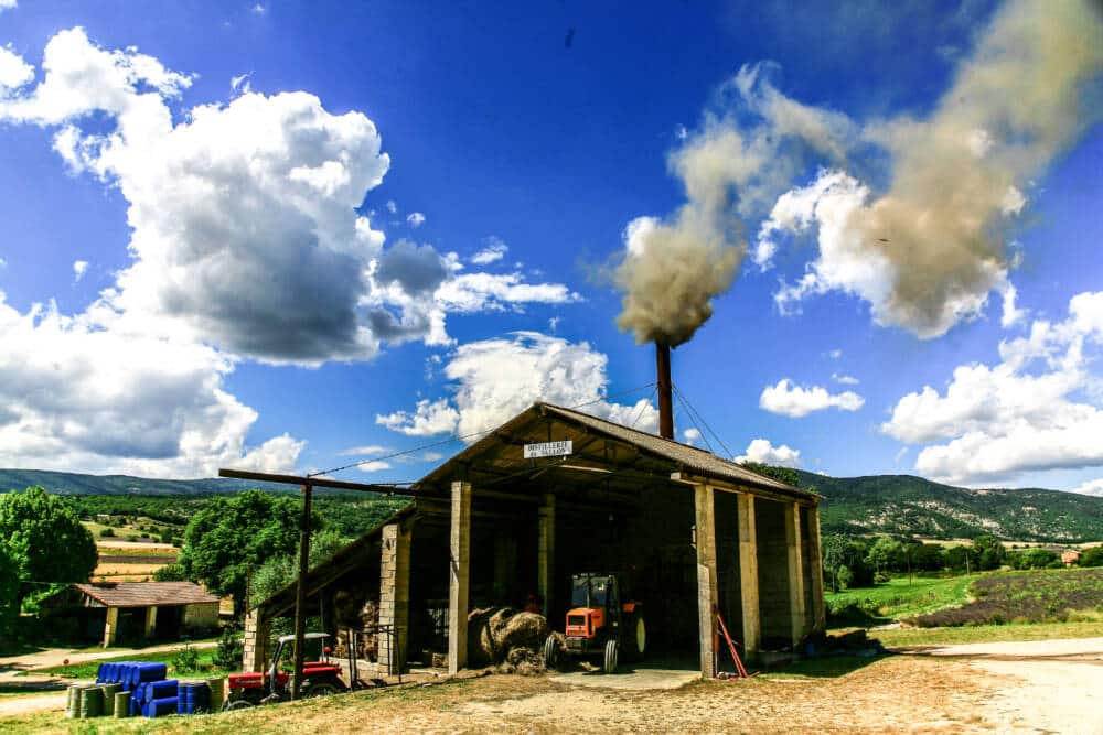 Distillerie de lavande