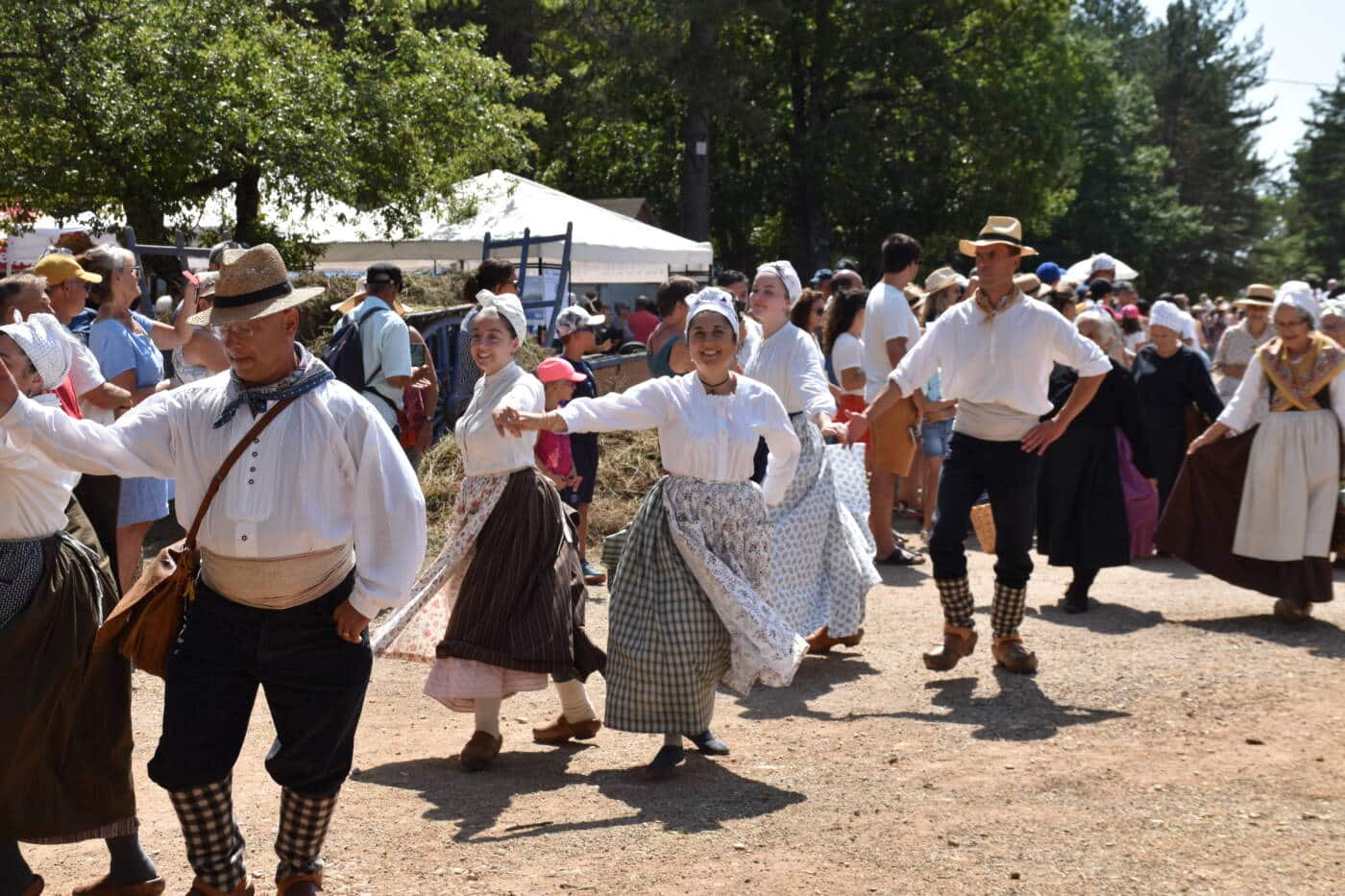 Fête de la lavande à Sault