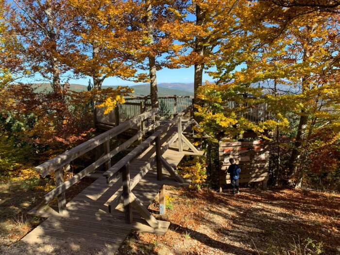 Belv d re grande faune ventoux automne OTIVS