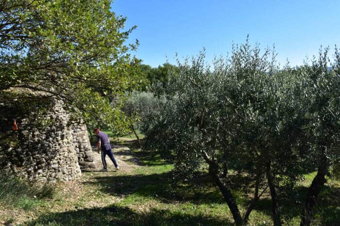 malemort rando bories garriguette marcheur 05 E.Aptel OTIVS